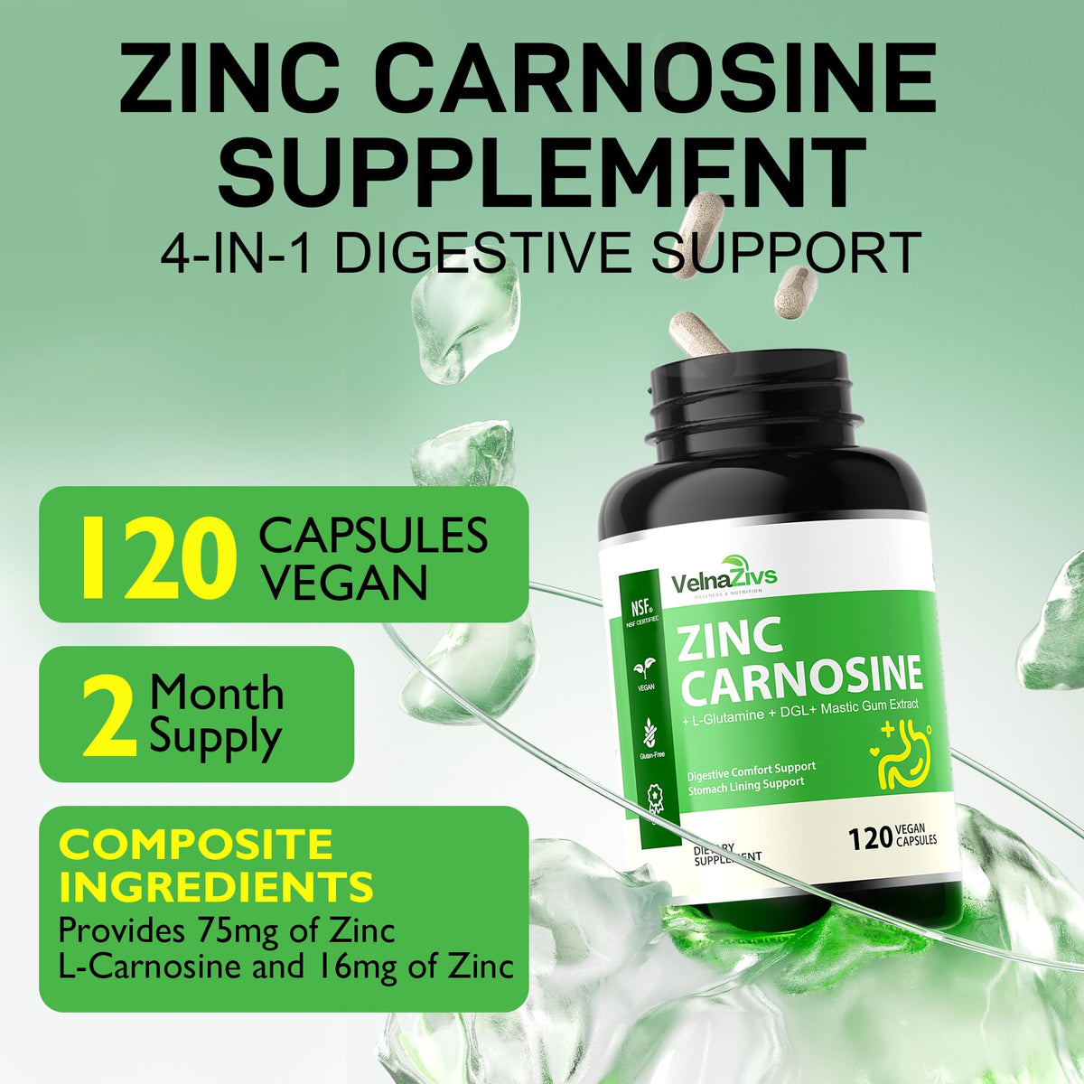 Zinc L-Carnosine with Mastic Gum - Chelated Zinc Complex with DGL and L-Glutamine