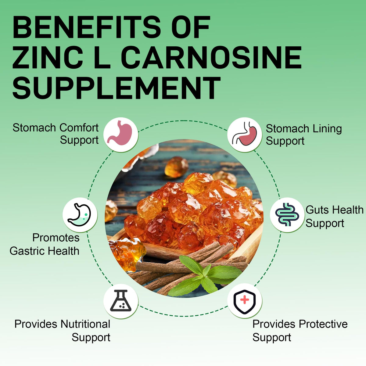 Zinc L-Carnosine with Mastic Gum - Chelated Zinc Complex with DGL and L-Glutamine